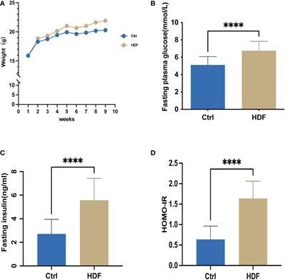 The Gengnianchun recipe attenuates insulin resistance-induced diminished ovarian reserve through inhibiting the senescence of granulosa cells